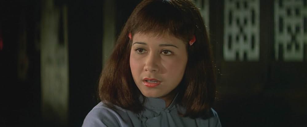 ヒーロー・オブ・カンフー 蔡李仏拳の画像