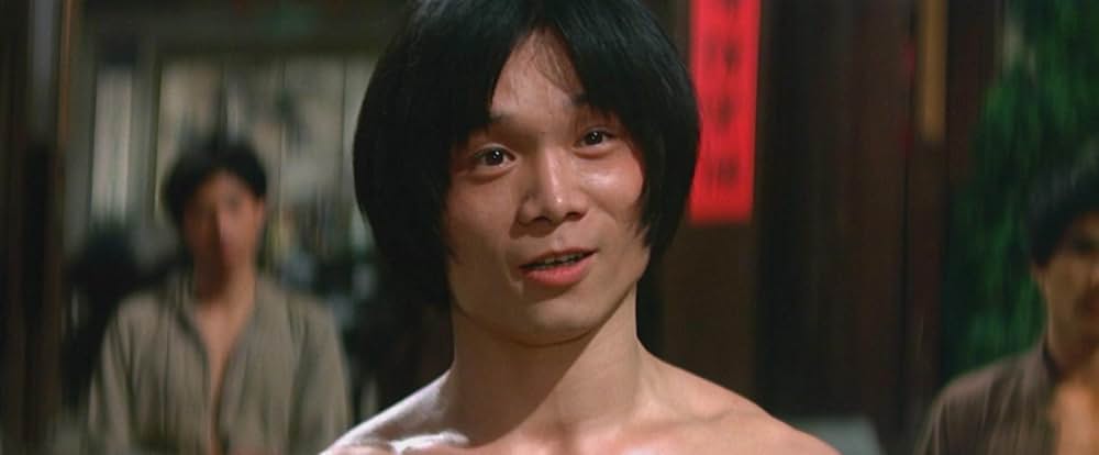 ヒーロー・オブ・カンフー 蔡李仏拳の画像