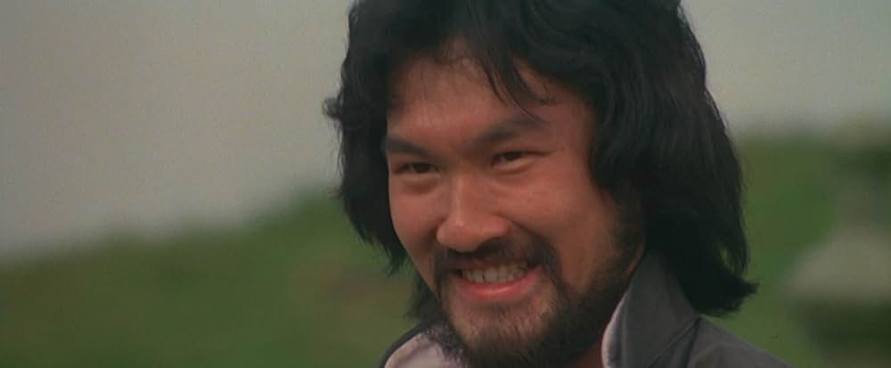 ヒーロー・オブ・カンフー 蔡李仏拳の画像