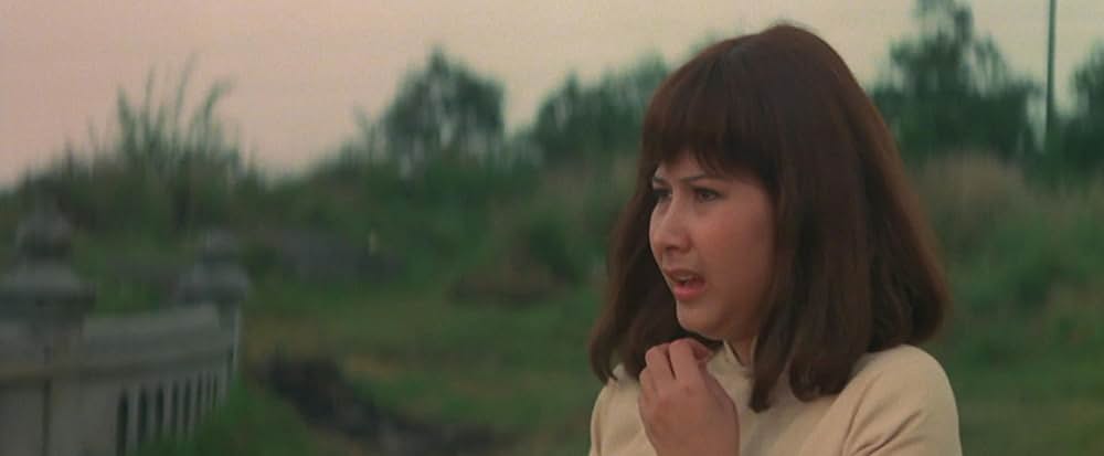 ヒーロー・オブ・カンフー 蔡李仏拳の画像