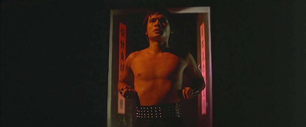 ヒーロー・オブ・カンフー 蔡李仏拳の画像