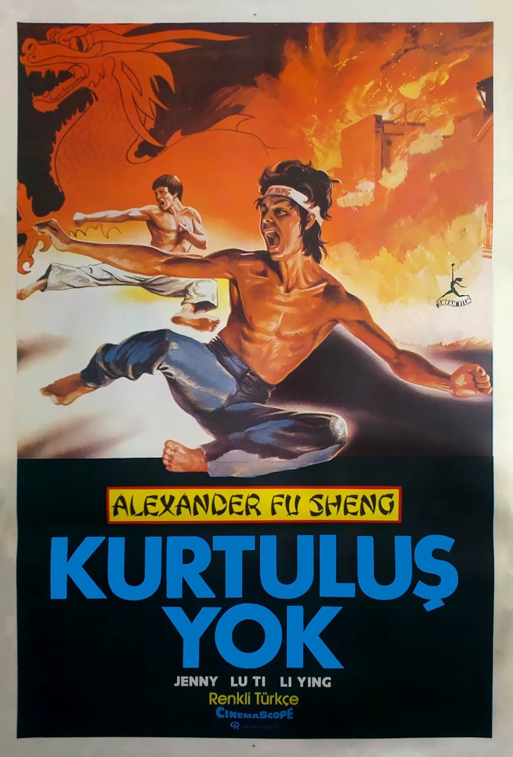 「ヒーロー・オブ・カンフー 蔡李仏拳」の画像