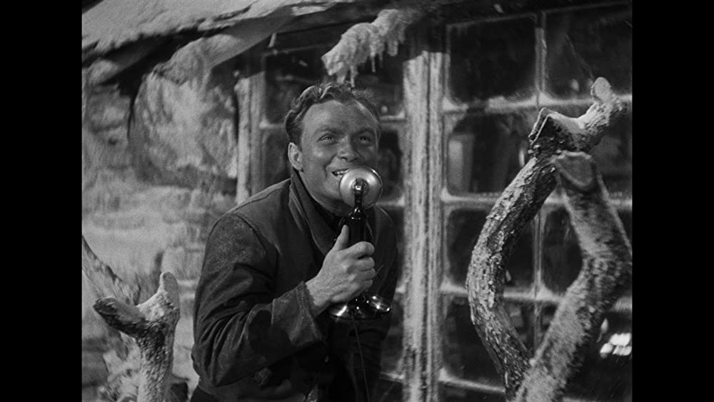 コンドルの画像