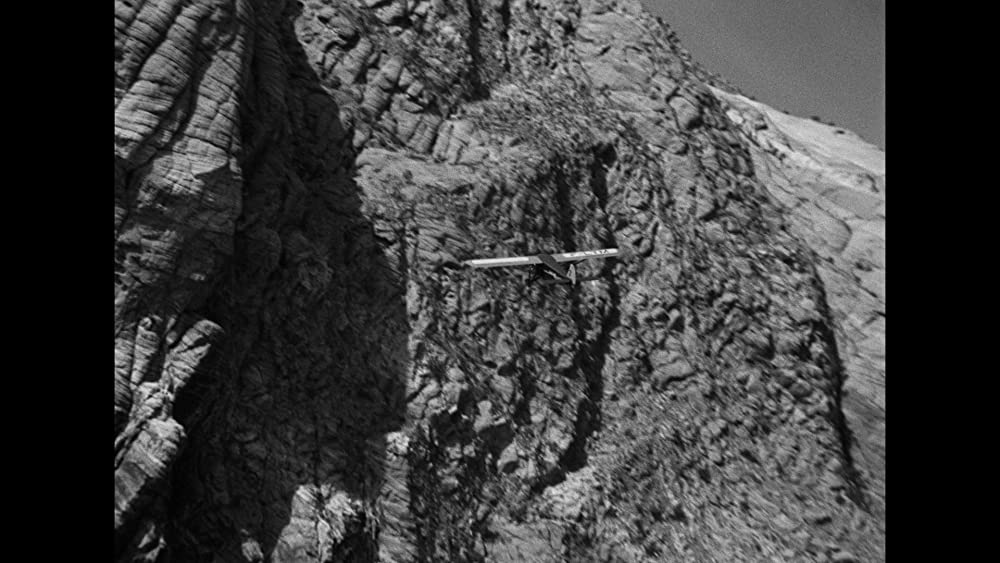 コンドルの画像