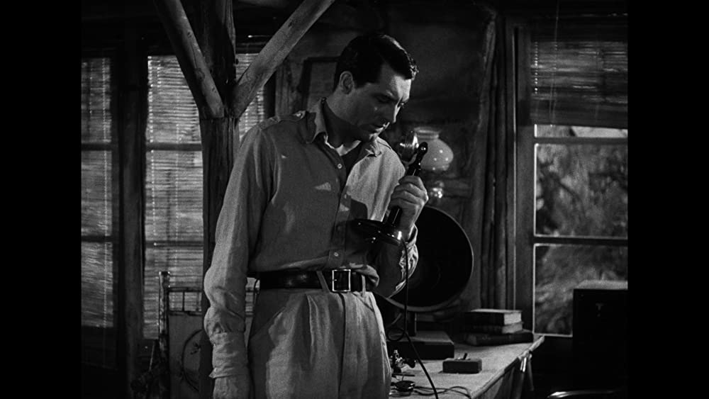 コンドルの画像