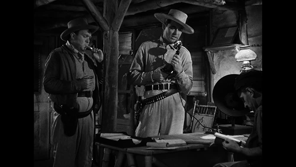 コンドルの画像