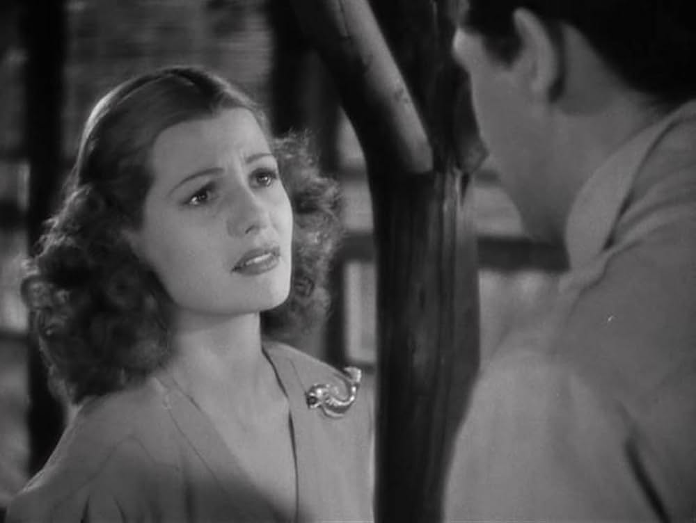 コンドルの画像