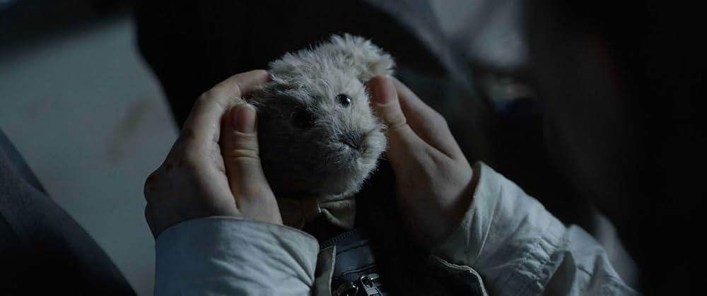 ファイナル・インパクトの画像