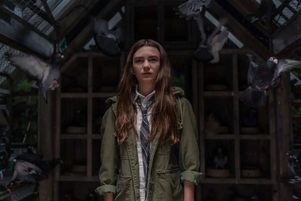 リトル・ウィングの画像