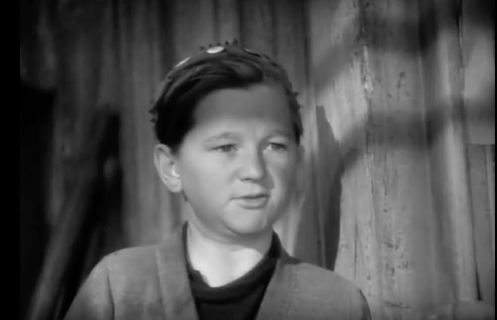 かれらに音楽をの画像