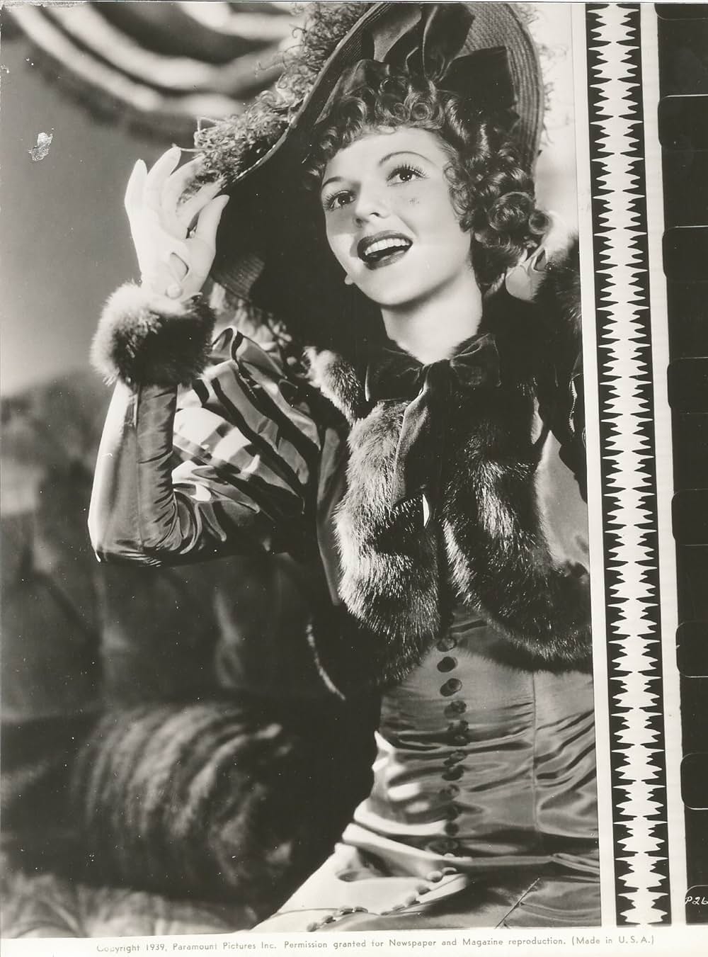 オペレッタの王様の画像