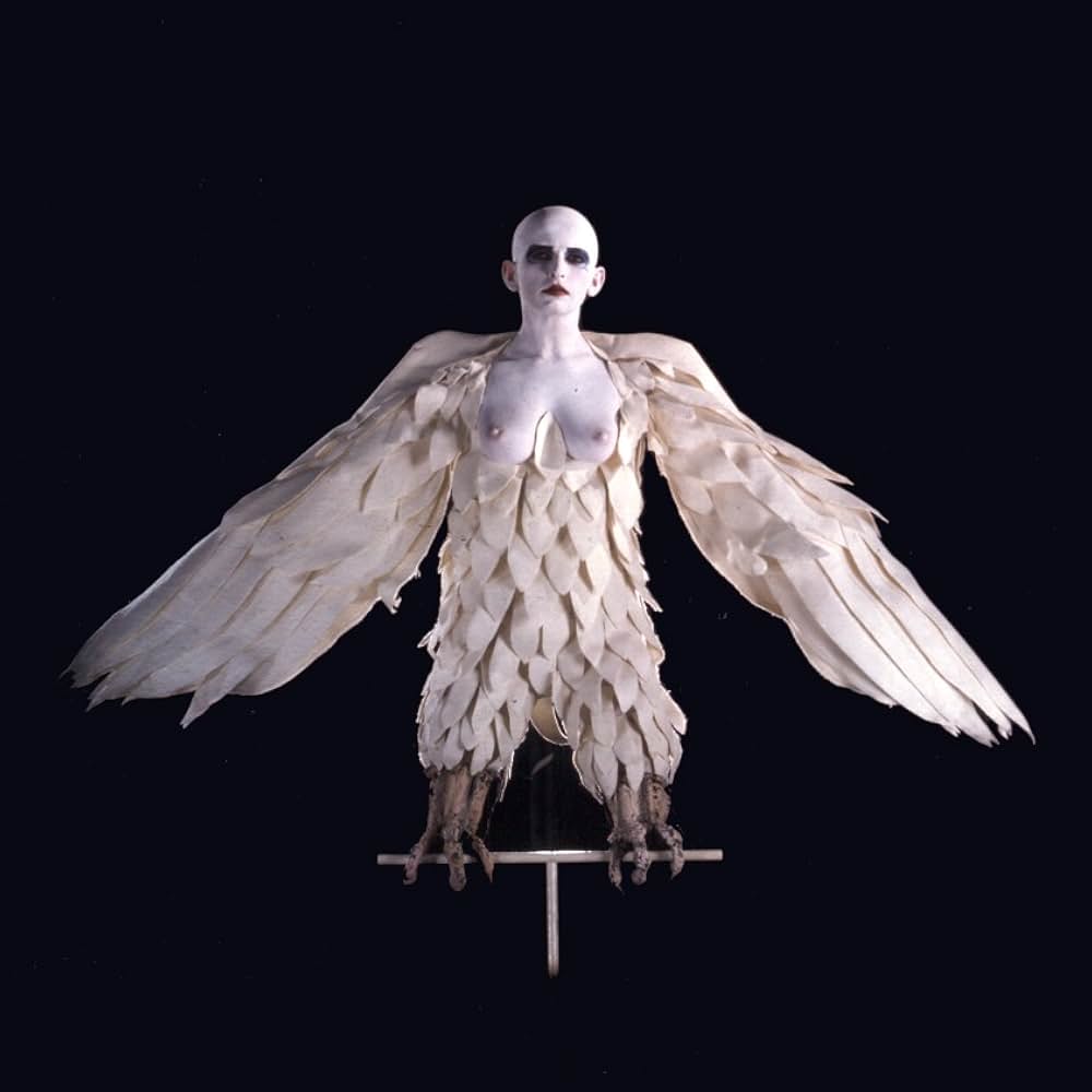 ハーピアの画像