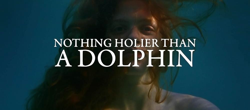 聖なるイルカの画像