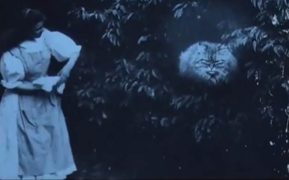 アリス・イン・ワンダーランドの画像