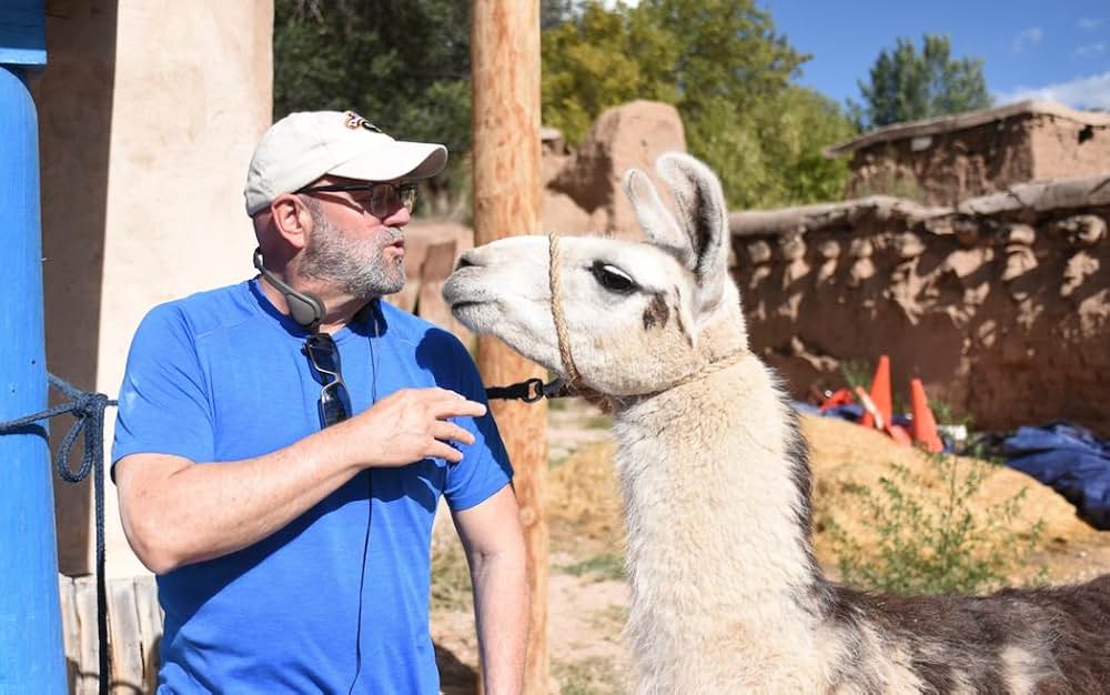 オフ・ザ・メニュー 恋は最高のスパイスの画像
