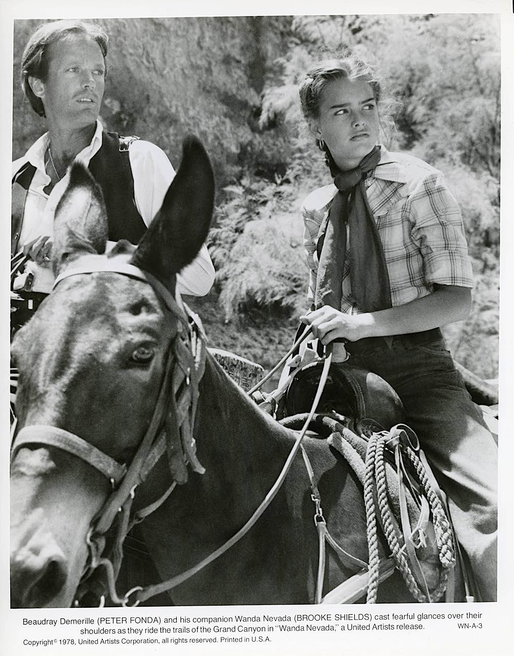 「グランドキャニオンの黄金」の画像