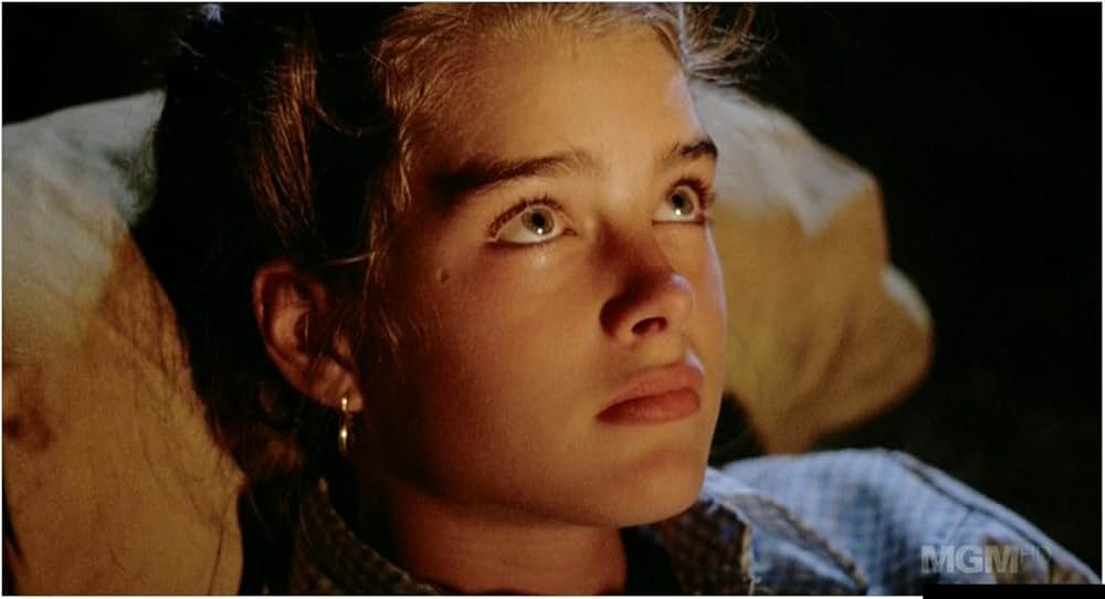 「グランドキャニオンの黄金」の画像