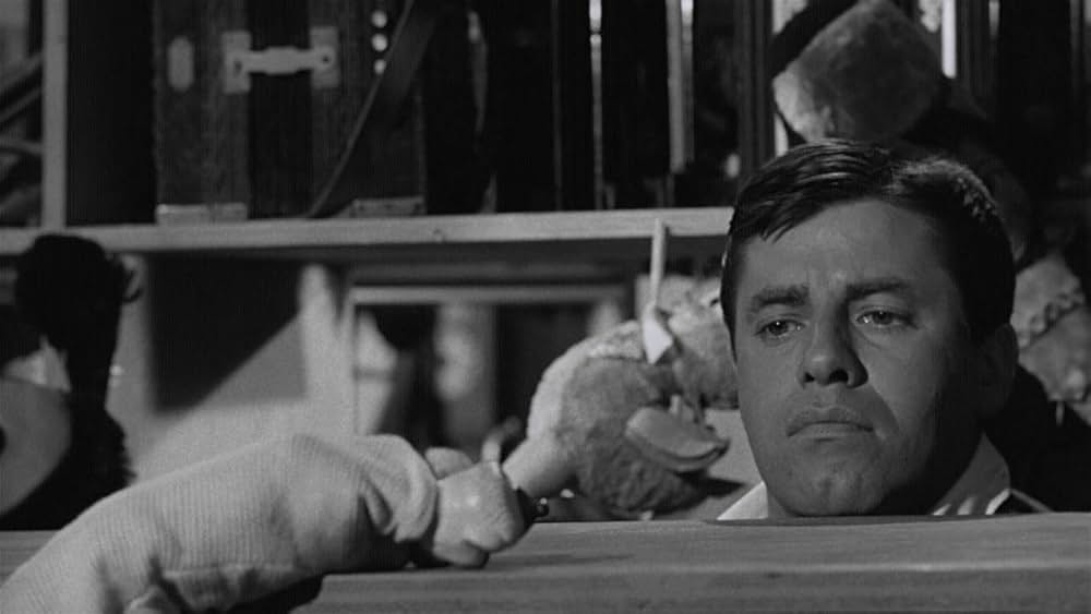 底抜け便利屋小僧の画像