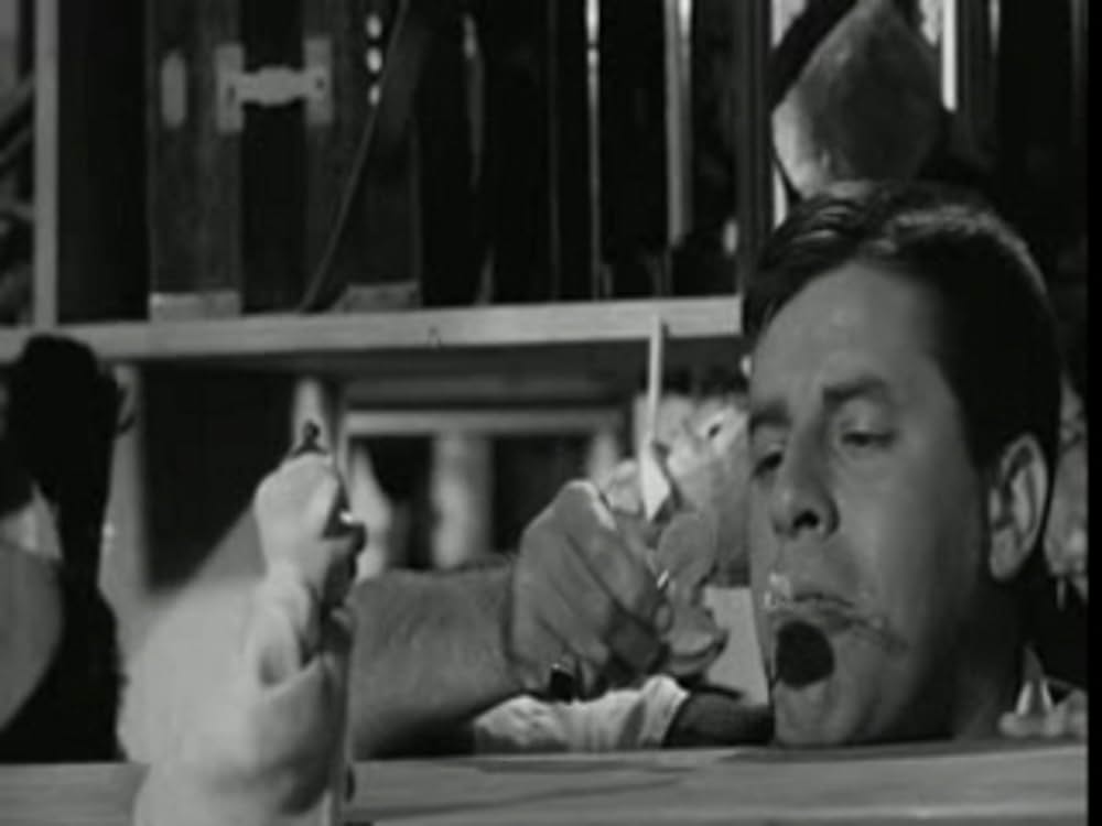 底抜け便利屋小僧の画像