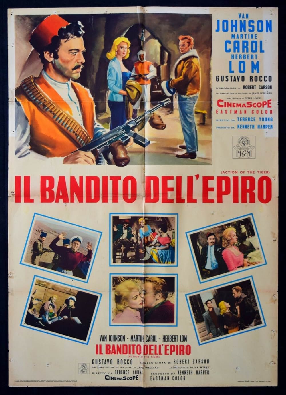 虎の行動の画像