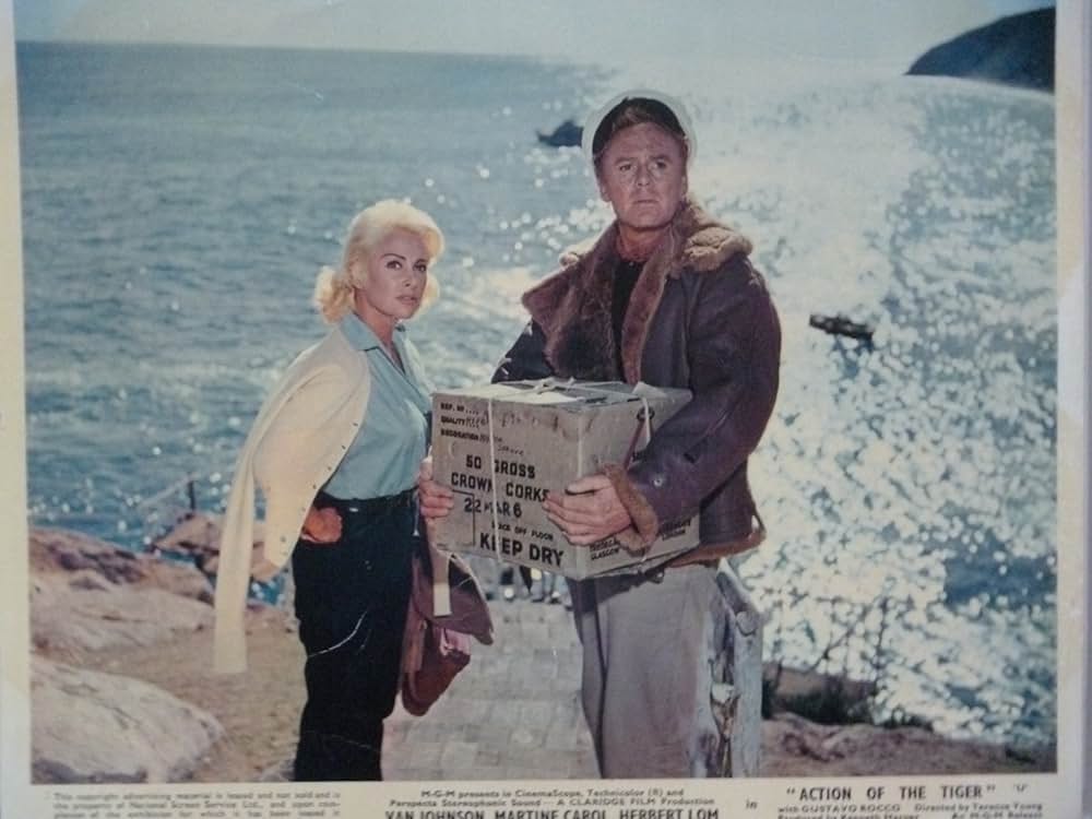 虎の行動の画像