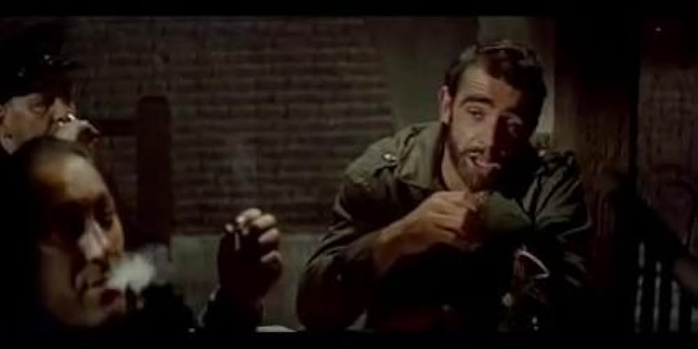 虎の行動の画像