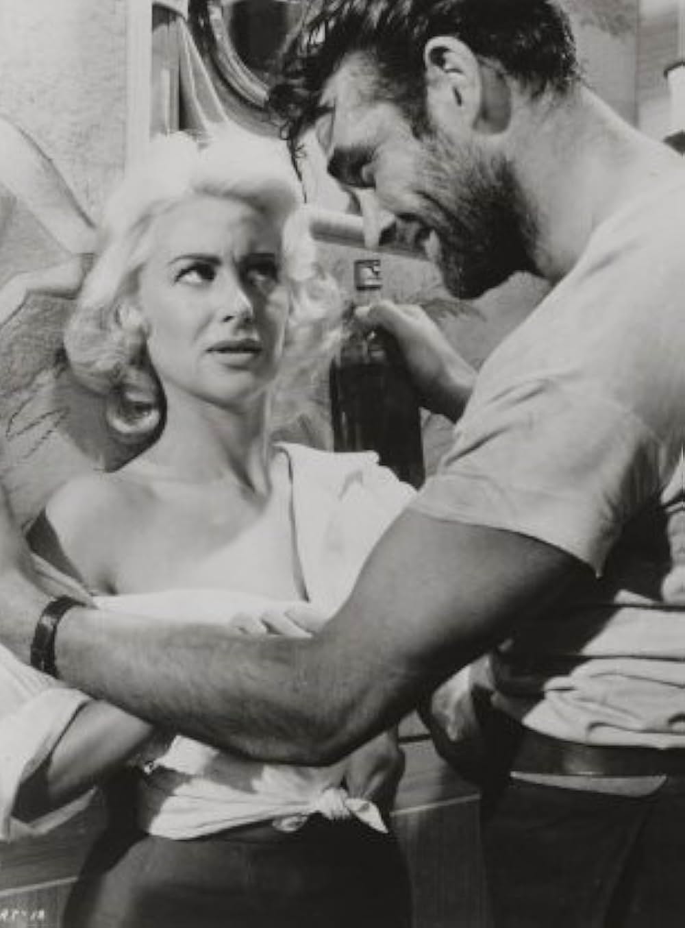 虎の行動の画像