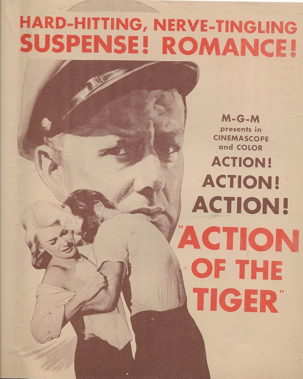 虎の行動の画像