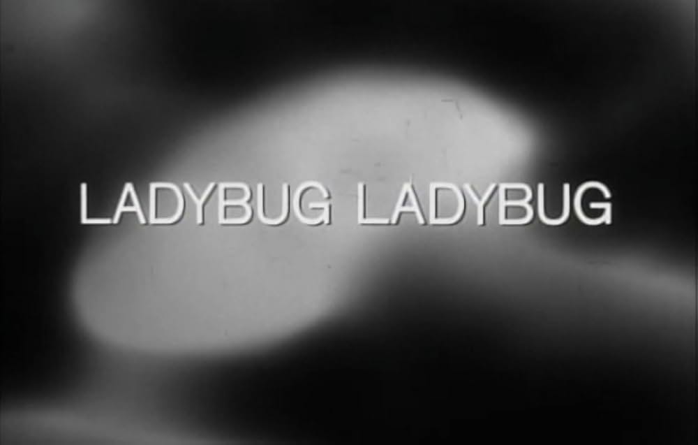 Ladybug Ladybug（原題）の画像