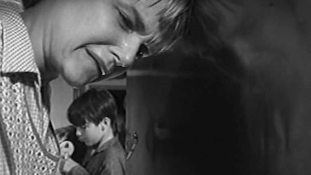 Ladybug Ladybug（原題）の画像