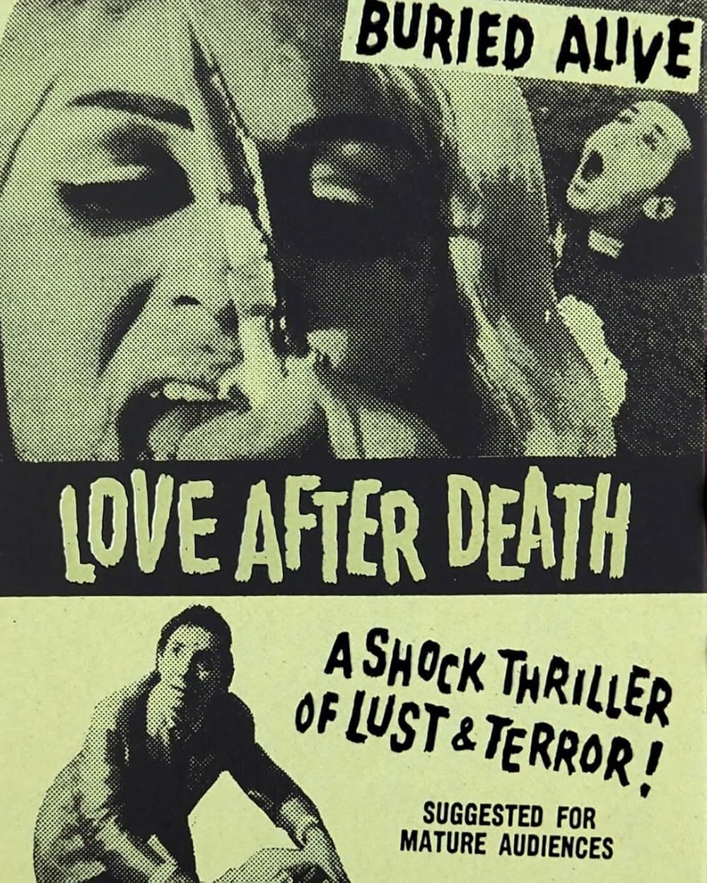 Love After Death（原題）の画像