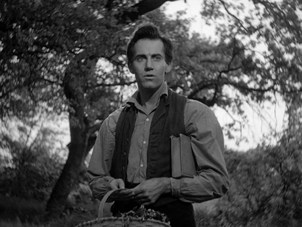 若き日のリンカンの画像