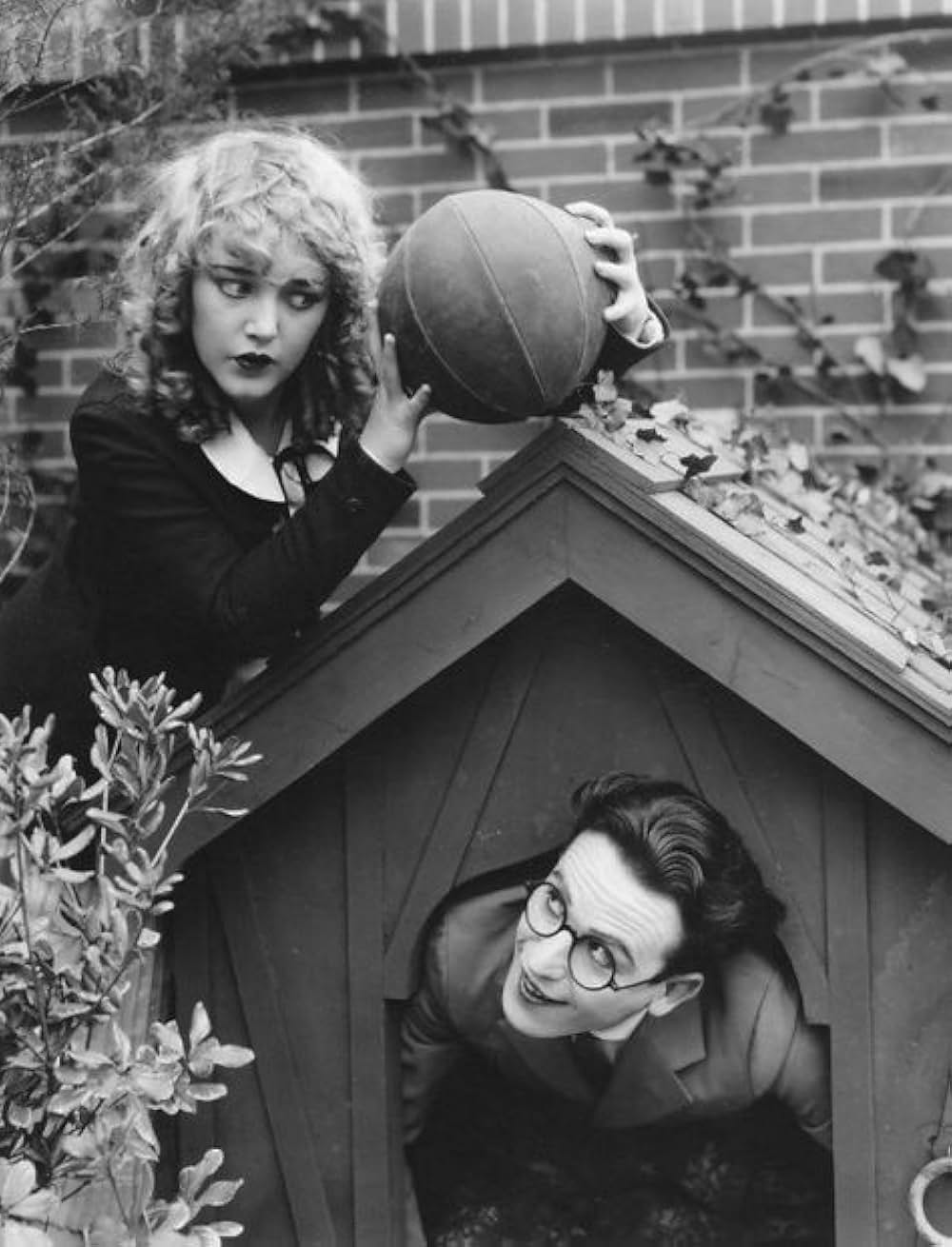 「好機逸すべからず」の画像