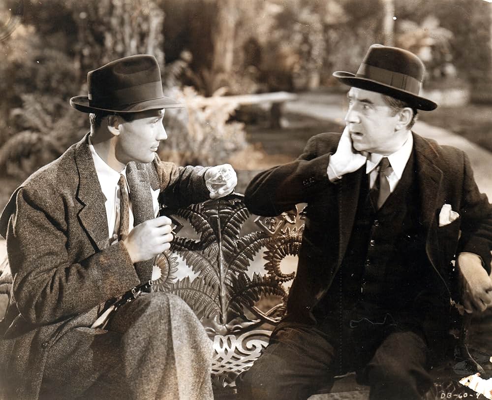 デビル・バットの画像