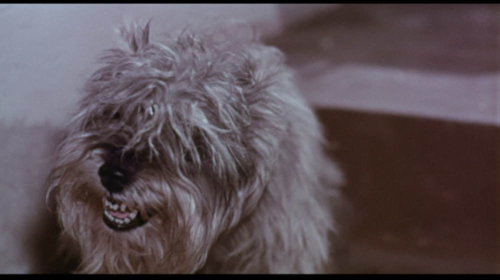 地球最終戦争の画像