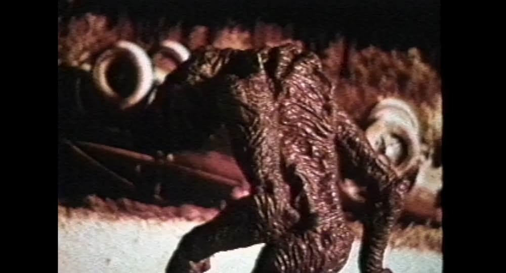 Vile 21（原題）の画像