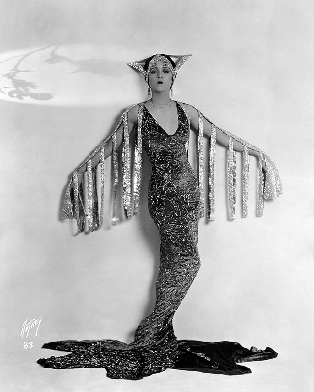 無花果の葉の画像