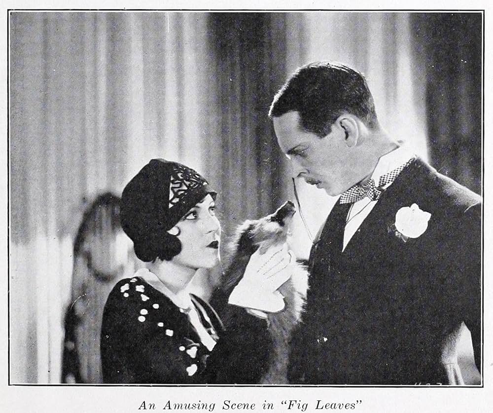 無花果の葉の画像