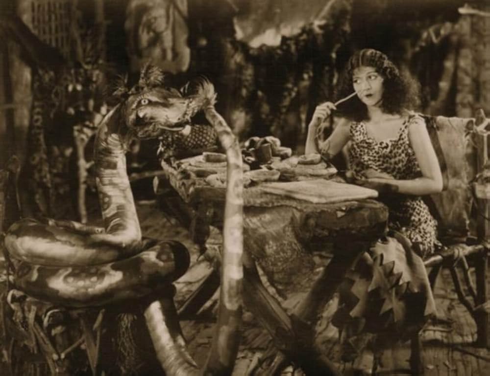 無花果の葉の画像