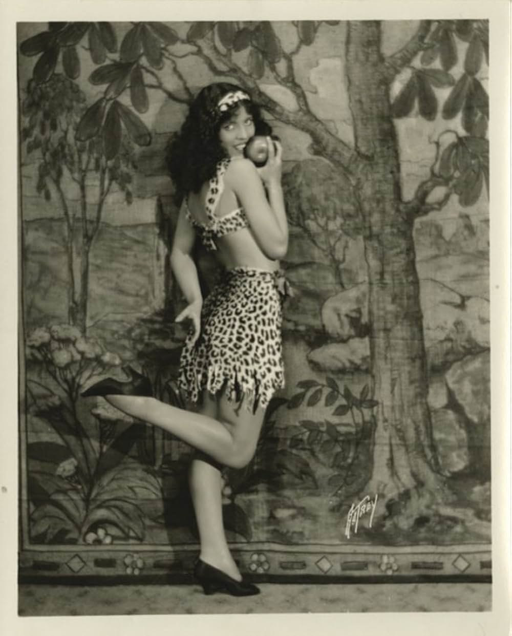 無花果の葉の画像