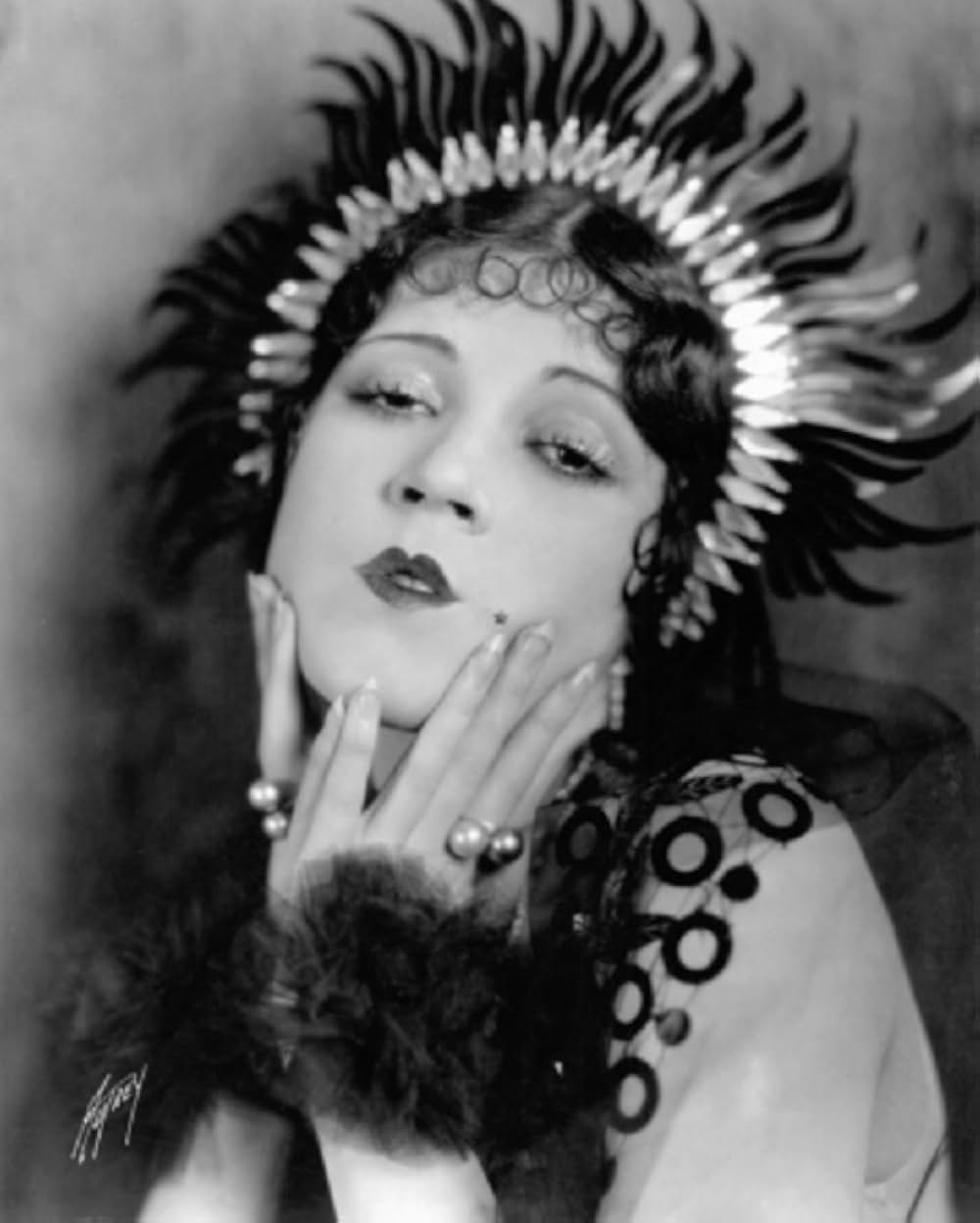 無花果の葉の画像