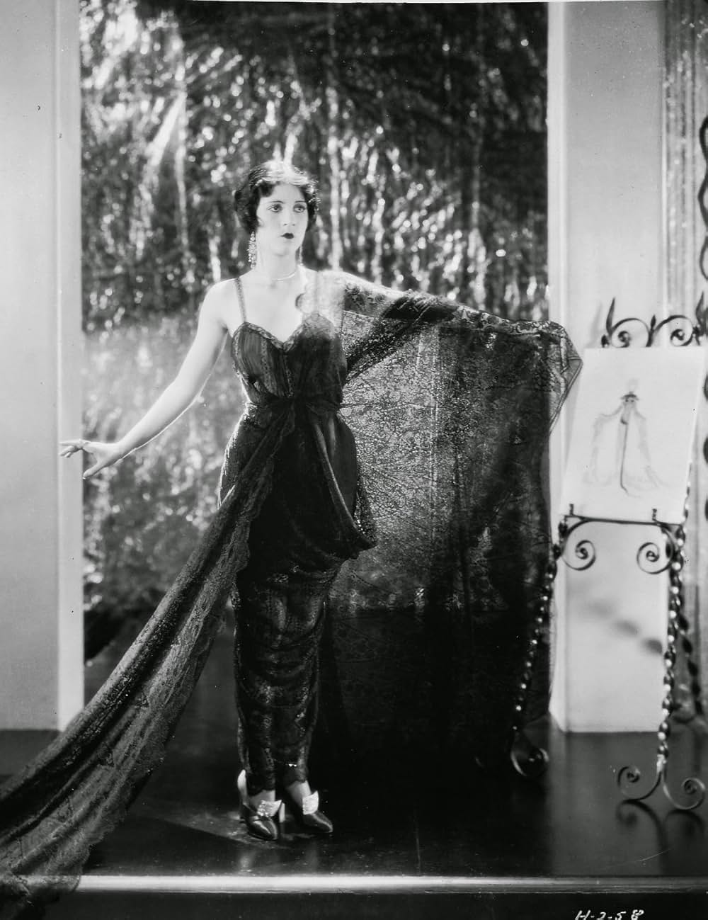 無花果の葉の画像