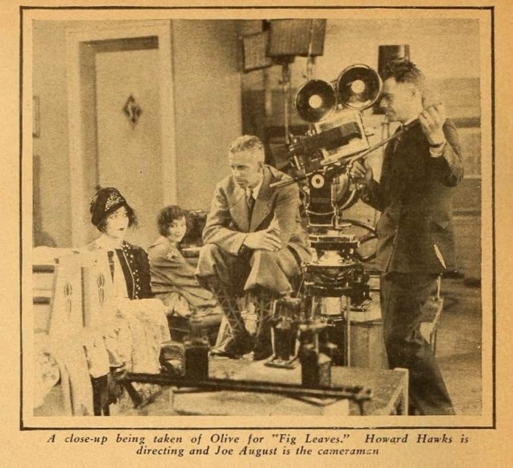 無花果の葉の画像