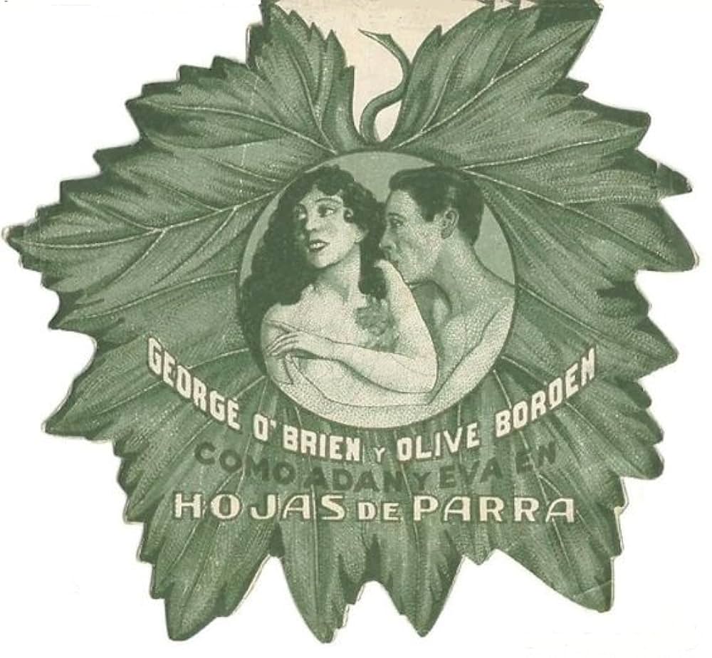 無花果の葉の画像