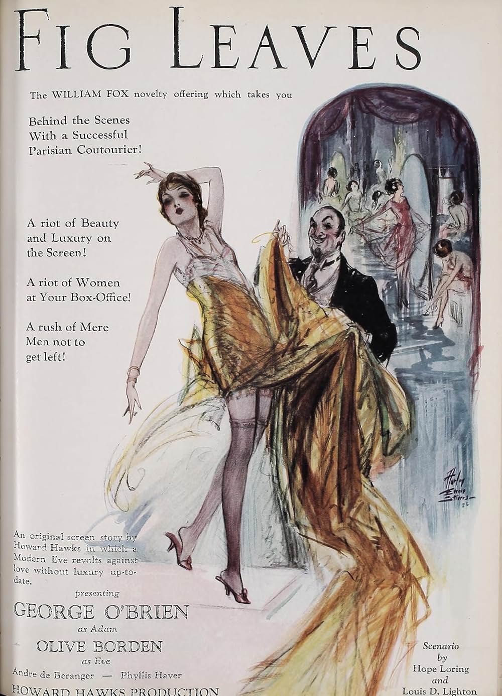 無花果の葉の画像