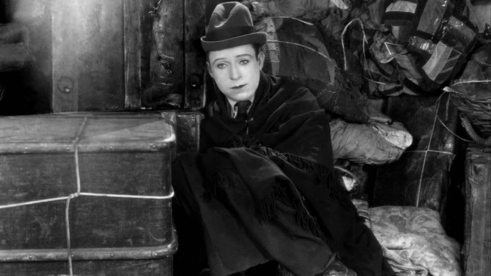 初陣ハリーの画像