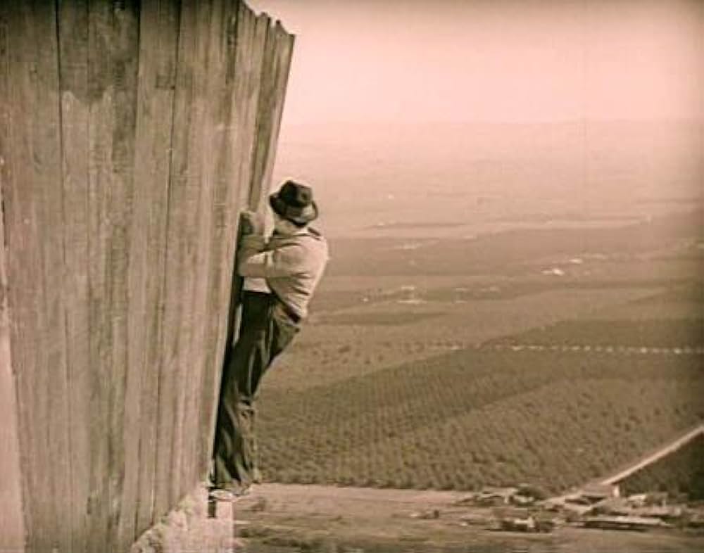 初陣ハリーの画像