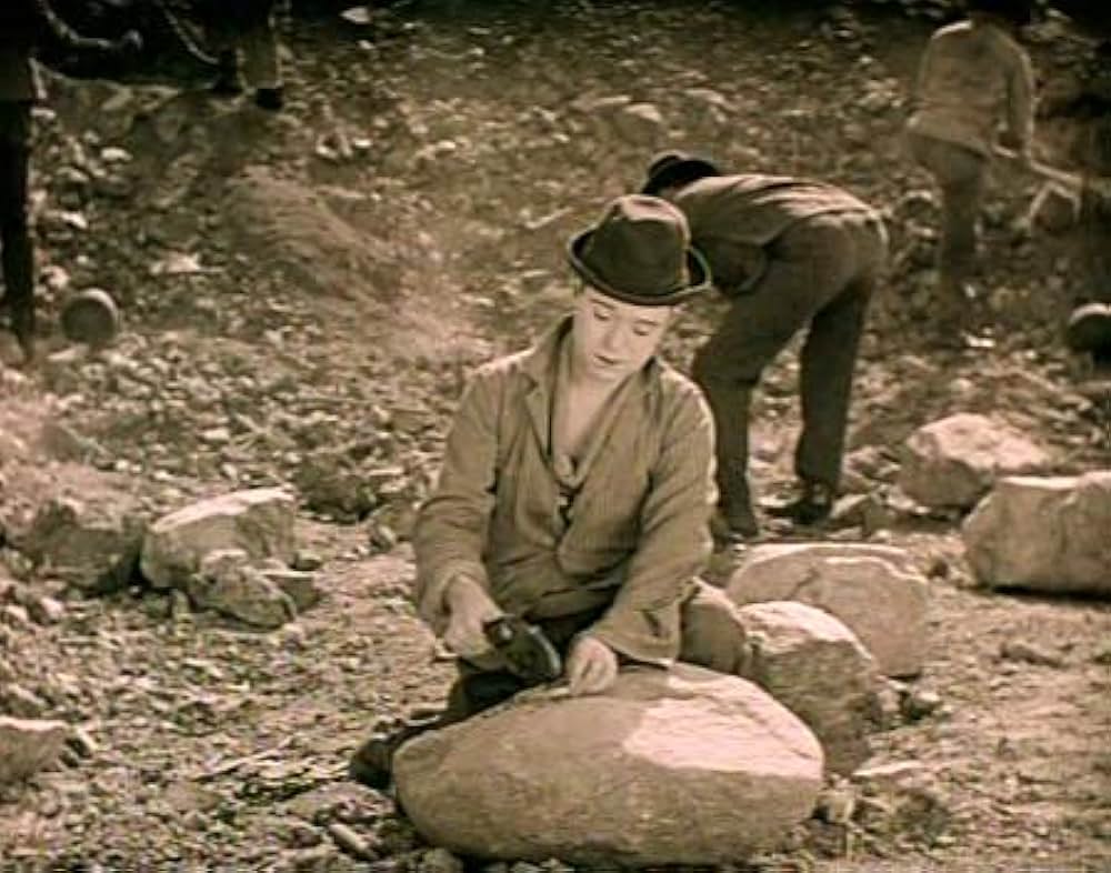 初陣ハリーの画像