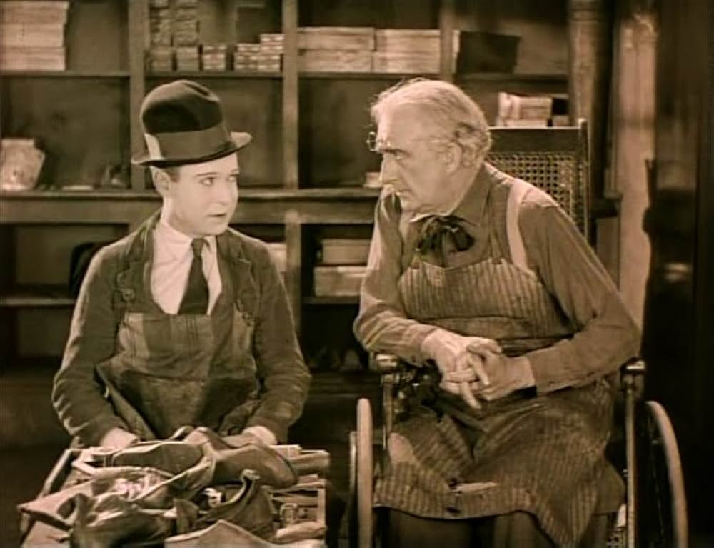 初陣ハリーの画像