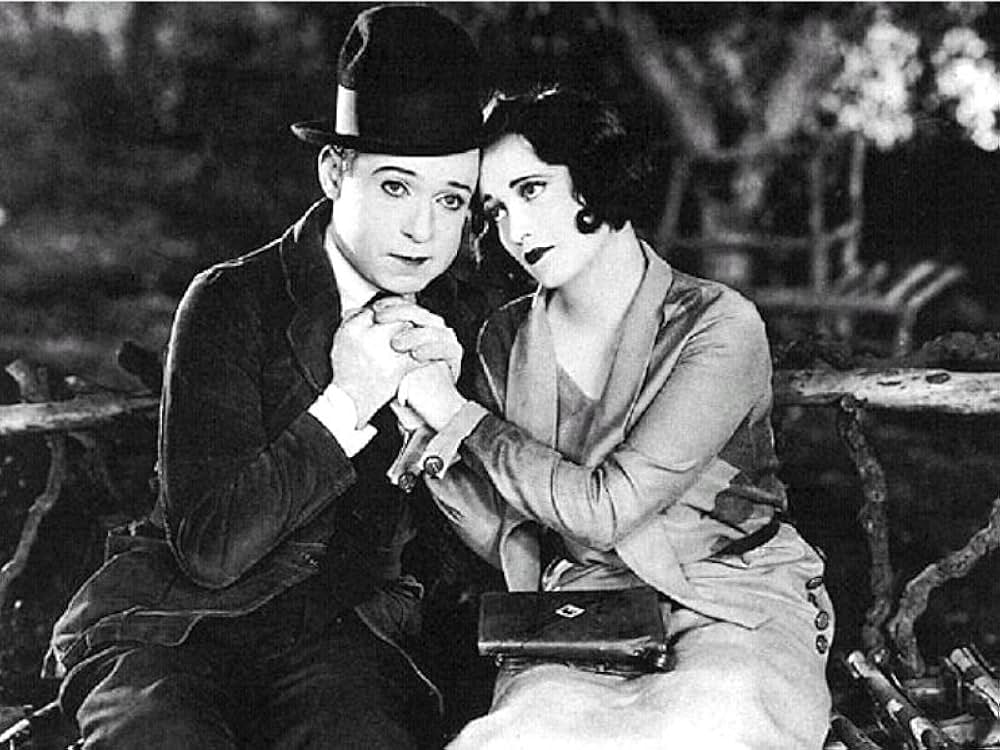 初陣ハリーの画像